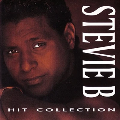 Afbeelding van Steve B. Hit Collection (2 LPs)