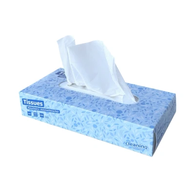 Afbeelding van Facial tissues Cleaninq 2 laags 100stuks