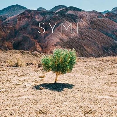 Afbeelding van Syml In My Body (LP)