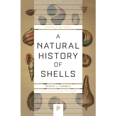 Afbeelding van A Natural History of Shells: 123