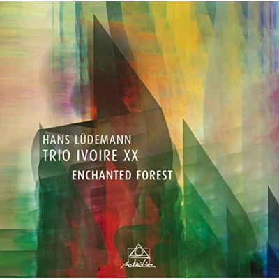 Afbeelding van Enchanted Forest