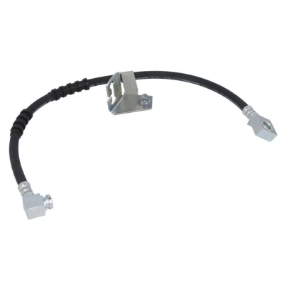 Afbeelding van Delphi Diesel Remslang LH6014