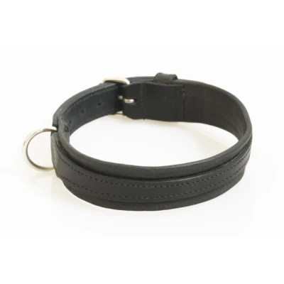 Afbeelding van Hondenhalsband zwart 40 cm