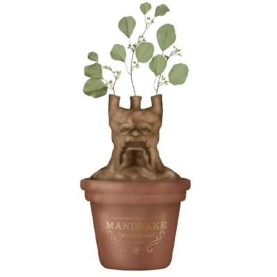 Afbeelding van HARRY POTTER Mandragonne Pot de fleurs/Vase table