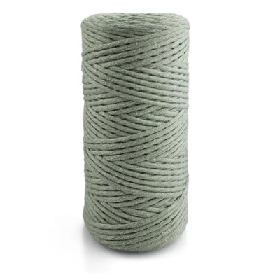 Afbeelding van Netuno Macramégaren, 3 mm, 100 m, eenvoudig gedraaid katoenen koord, natuurlijk garen, kleurrijk knutselkoord voor macramé, gekleurd, 1 x groen