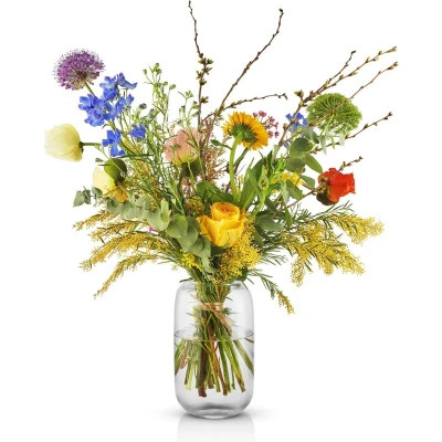 Afbeelding van Vaas Eva Solo Acorn Clear 22 cm