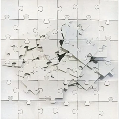 Afbeelding van Not Scientists Destroy To Rebuild (CD)