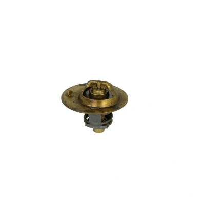 Afbeelding van Wahler Thermostaat 3119.88