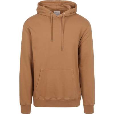 Afbeelding van Colorful Standard Organic Hoodie Bruin maat XXL Heren met Regular fit Pasvorm Duurzaam