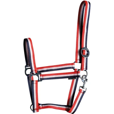 Afbeelding van Harry&#039;s Horse Halster Economy Rood/Wit/Blauw Shetland