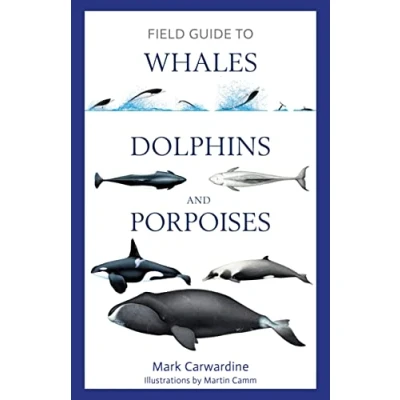 Afbeelding van Field Guide to Whales, Dolphins and Porpoises