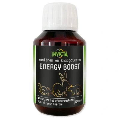 Afbeelding van Invicta Energy Boost Voedingssupplement 100 ml