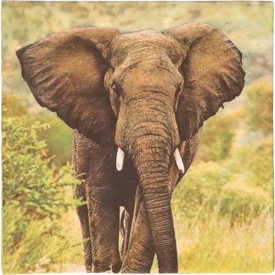 Afbeelding van 20x Safari thema servetten met olifant print 33 x cm Feestservetten