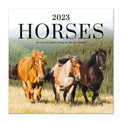 Afbeelding van Grupo Erik CP23003 Kalender 2023 Horses wandkalender 12 maanden Brochurekalender 30x30 cm Fscgecertificeerde +Bonus 4