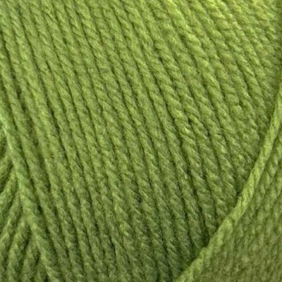 Afbeelding van Wol en Garens Stylecraft Special DK 2176 Leaf