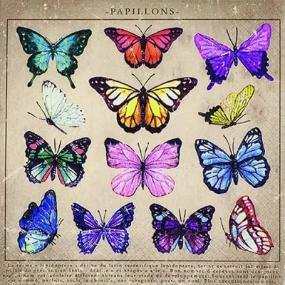 Afbeelding van 20 servetten verzameling vlinders dieren collectie tafeldecoratie 33 x cm