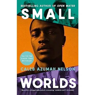 Afbeelding van Small Worlds: THE TOP TEN SUNDAY TIMES BESTSELLER