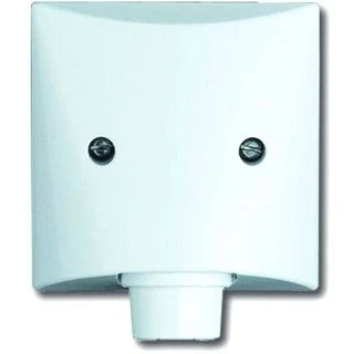 Afbeelding van Abb busch jaeger centraalplaat met draagring wit als afdekking voor zwakstroomleidinguitvoer 2cka001710a2256