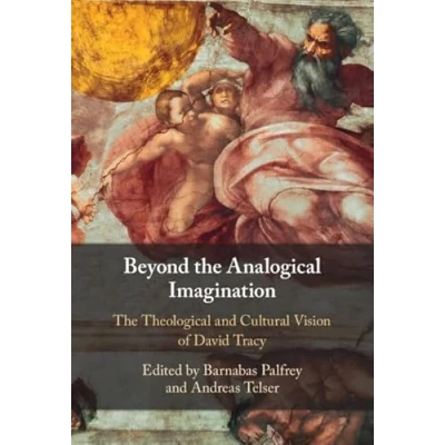 Afbeelding van Beyond The Analogical Imagination: Theological and Cultural Vision of David Tracy