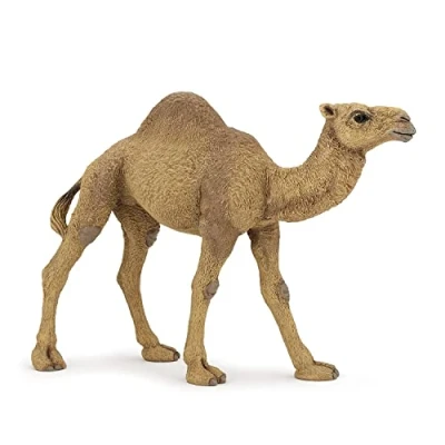 Afbeelding van Papo Handgeschilderde Figuurtjes Wild Dierenrijk Dromedaris 50151 Verzamelbaar voor kinderen Geschikt jongens en meisjes Vanaf 3 jaar