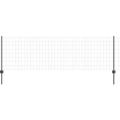 Afbeelding van vidaXL Tuinhek Set van 2 Grijs Metaal 25 x 0.8 m Duurzaam