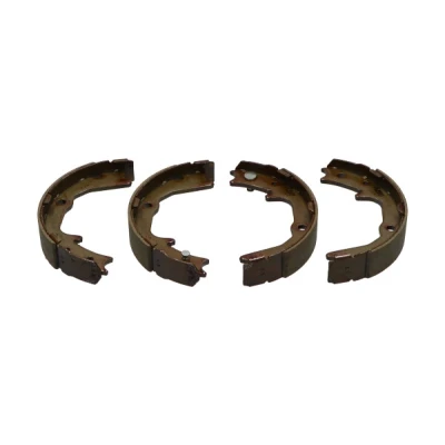 Afbeelding van Kavo Parts Remschoen set KBS 6404