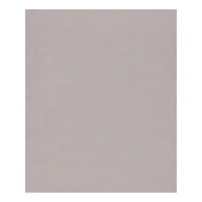 Afbeelding van Leen Bakker Dutch Wallcoverings More Textures Uni Structuur Beige 0,53x10,05m Behang Vlies