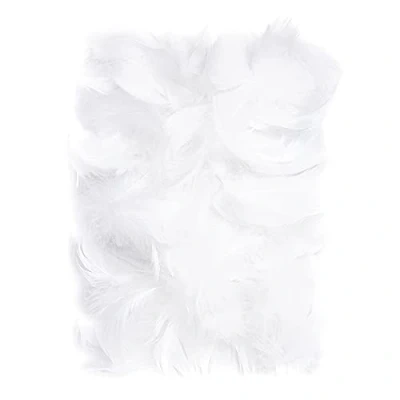 Afbeelding van Netuno 150 stuks witte decoratieve veren, 10 g, pluisveren, sierveren, vogelveren, knutselveren, natuur voor doe het zelf knutselen, decoratie, Pasen, Kerstmis, decoratiefiguur