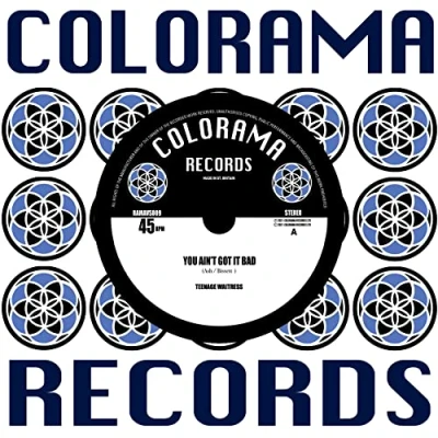 Afbeelding van You Ain&#039;t Got It Bad (RSD 2022)