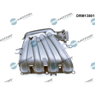 Afbeelding van Dr.Motor Automotive Inlaatspruitstuk module DRM13801