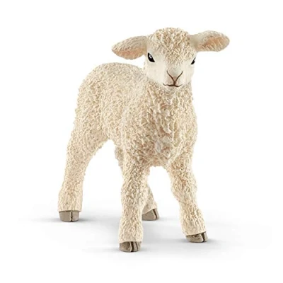 Afbeelding van Lamm