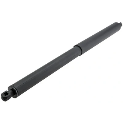 Afbeelding van Gasveer achterklep OEM 51247412407