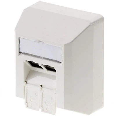 Afbeelding van Telegärtner J00023A0204 Netwerkdoos Opbouw (op muur) CAT 6A 2 poorten Alpine wit