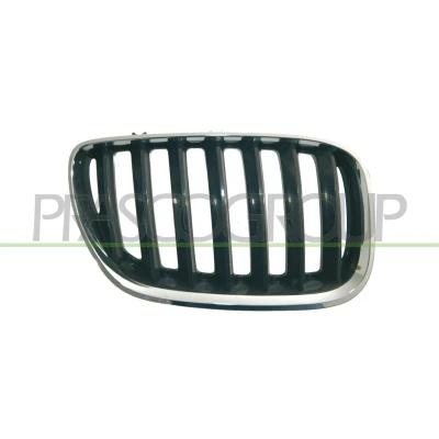 Afbeelding van PRASCO BM8202023 Grille Auto rechts chroom/zwart BMW: X5 (E53) 4.6 is, 3.0 i, 4.8 4.4 d 2000 2006
