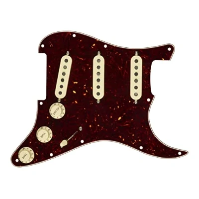 Afbeelding van Fender Pre Wired Strat PG Custom Shop &quot;;69 SSS Tortoise Shell