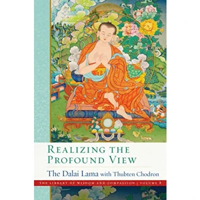 Afbeelding van Realizing the Profound View: Volume 8