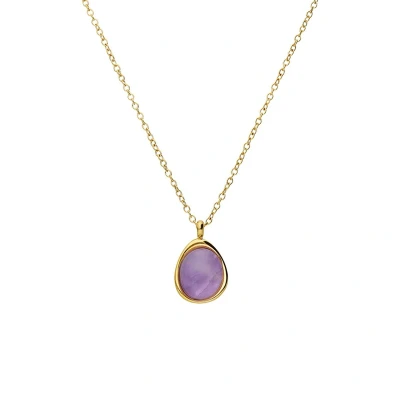 Afbeelding van Lucardi Dames Stalen goldplated Ketting met amethyst ovaal Staal Goudkleurig 47 cm