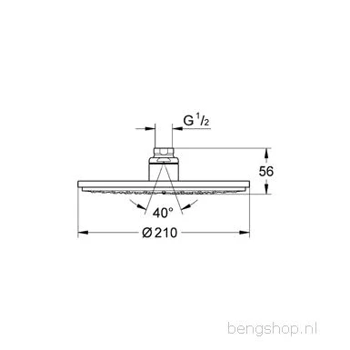 Afbeelding van Grohe Rainshower Cosmop. 210 hoofddoucheset 1 straal chr.