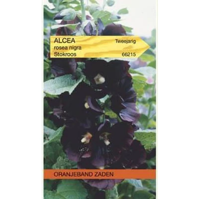 Afbeelding van Althaea (Alcaea), Stokroos Nigra