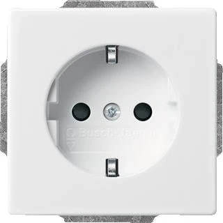 Afbeelding van Abb busch jaeger axcent carat future thermoplast inbouw 1 voudige wcd met randaarde centraalplaat steekklem ral9016 2cka002013a5294