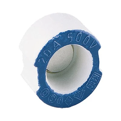 Afbeelding van Passchroef v smeltzekering 20a blauw