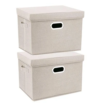 Afbeelding van TYEERS Grote Opbergdoos met Deksel, Opvouwbaar, Afwasbaar, Opbergbak 44x30x29 cm, Set van 2, Beige