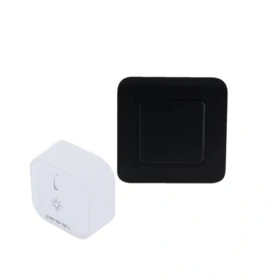 Afbeelding van Micromodule voor lampen met aan/uit functie + zwarte schakelaar