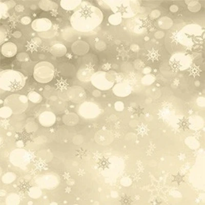 Afbeelding van Paperpack Amy Design Enchanting Christmas