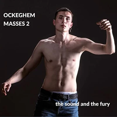 Afbeelding van The Sound And Fury Masses Vol. 2 (CD)