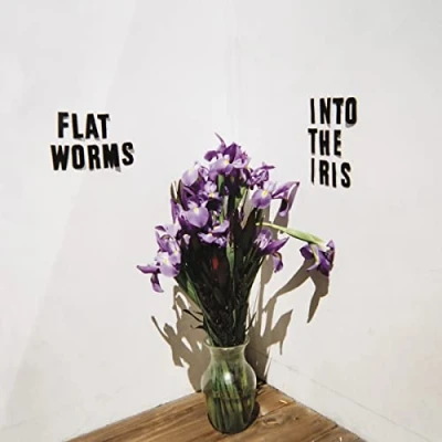 Afbeelding van Flat Worms Into the Iris (Single)
