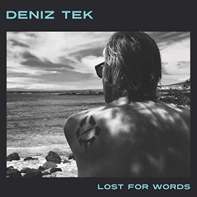 Afbeelding van Deniz Tek Lost For Words (LP)