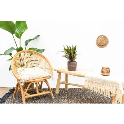 Afbeelding van Calathea Elgergrass 35cm