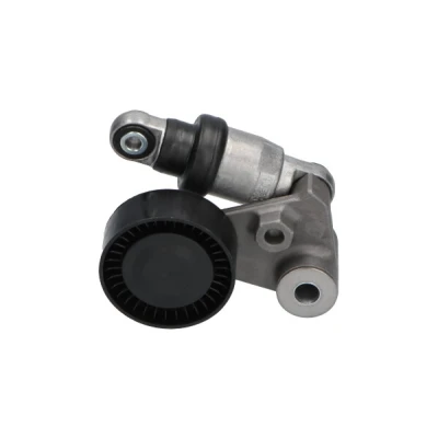 Afbeelding van Kavo Parts Spanrol (poly) V riem DTP 3008