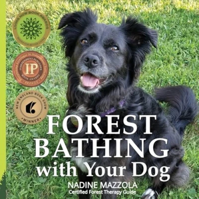 Afbeelding van Forest Bathing with Your Dog